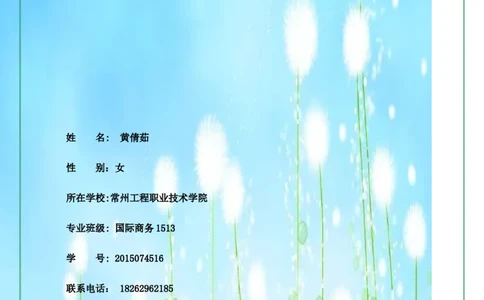 职业生涯规划书模版(1)_E6-职业规划_92国际商务专业