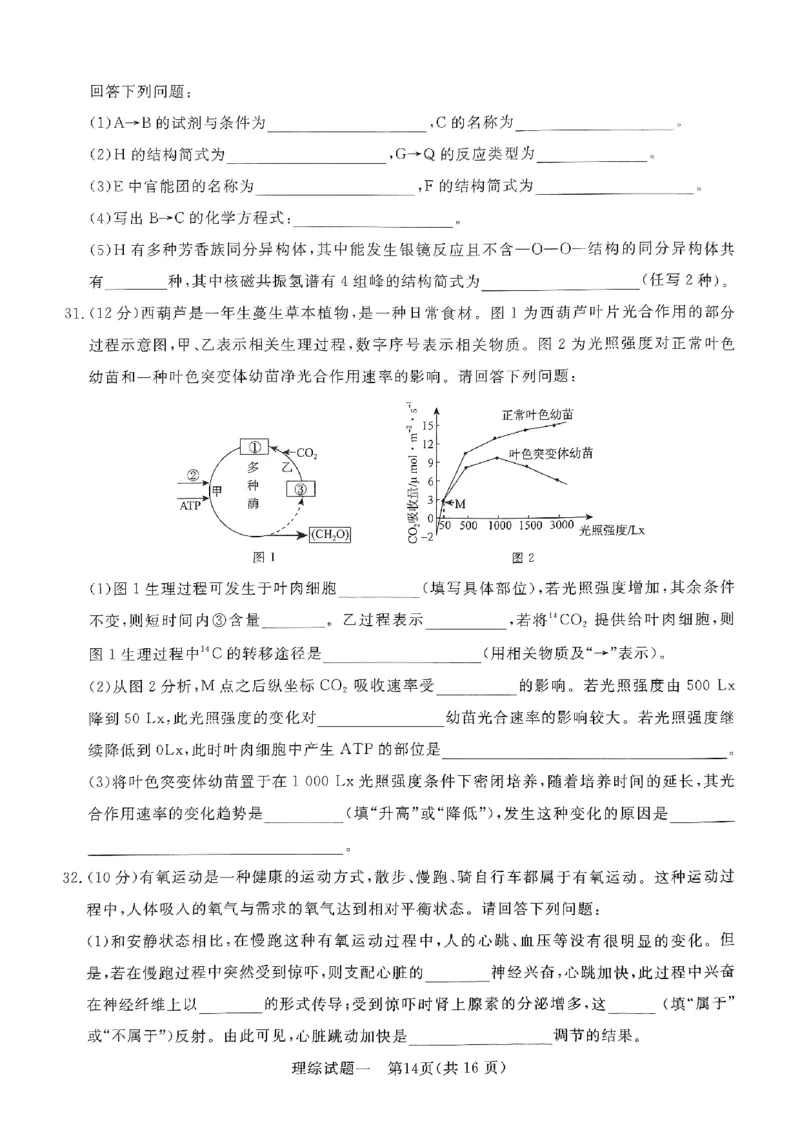 2024年青桐鸣大联考押题卷（一）理综试题_2024年5月_01按日期_13号_2024届青桐鸣大联考押题卷（一）