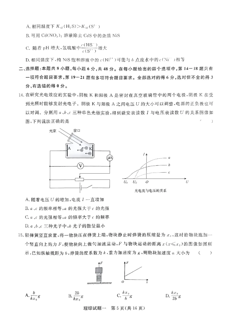 2024年青桐鸣大联考押题卷（一）理综试题_2024年5月_01按日期_13号_2024届青桐鸣大联考押题卷（一）