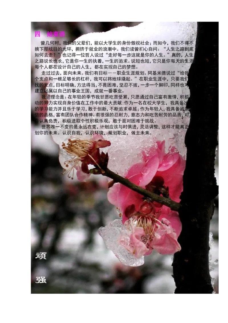 王峰职业规划设计书_E6-职业规划_95通用范本