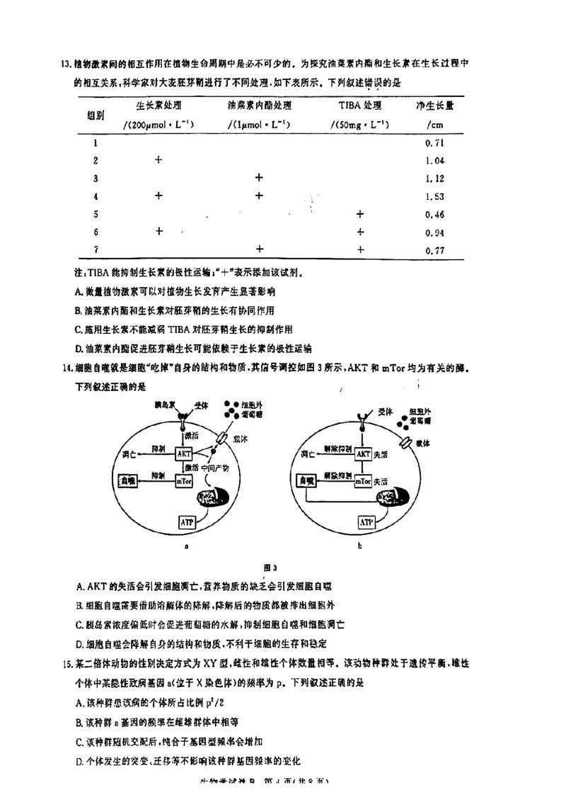 广东省2025届广州市高三年级上学期阶段性训练暨8月摸底考试(市调研考）生物试卷_8月_240822广东省广州市2025届高三年级上学期8月摸底考试(市调研考）