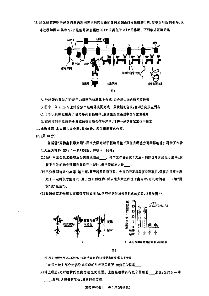 广东省2025届广州市高三年级上学期阶段性训练暨8月摸底考试(市调研考）生物试卷_8月_240822广东省广州市2025届高三年级上学期8月摸底考试(市调研考）