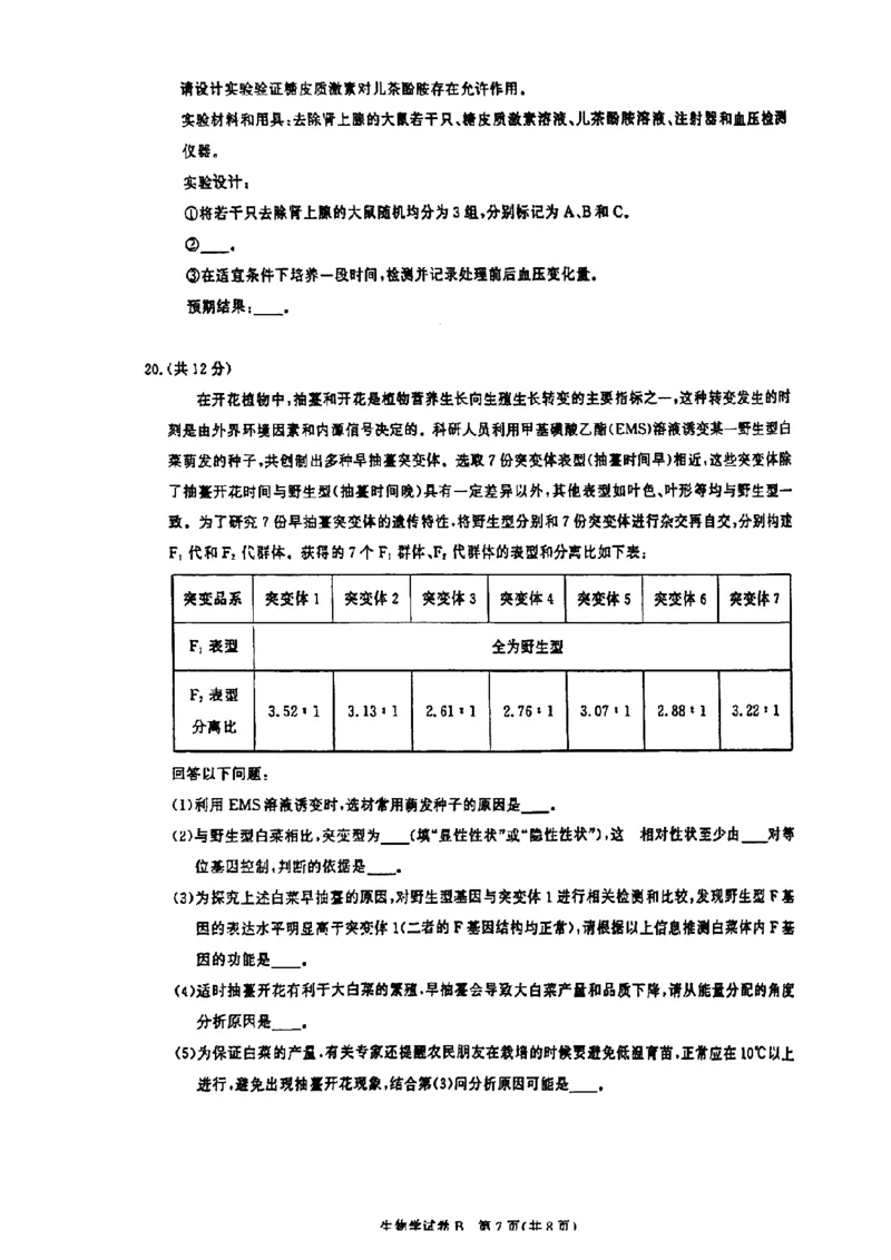 广东省2025届广州市高三年级上学期阶段性训练暨8月摸底考试(市调研考）生物试卷_8月_240822广东省广州市2025届高三年级上学期8月摸底考试(市调研考）