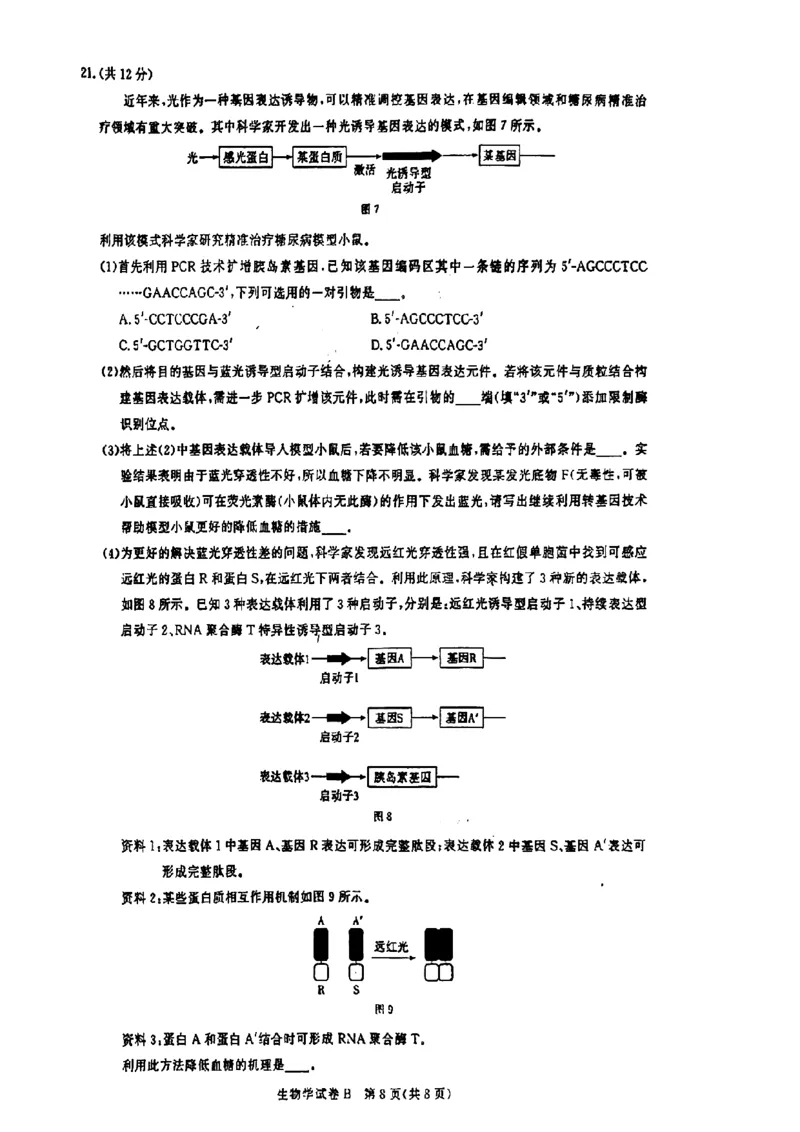 广东省2025届广州市高三年级上学期阶段性训练暨8月摸底考试(市调研考）生物试卷_8月_240822广东省广州市2025届高三年级上学期8月摸底考试(市调研考）