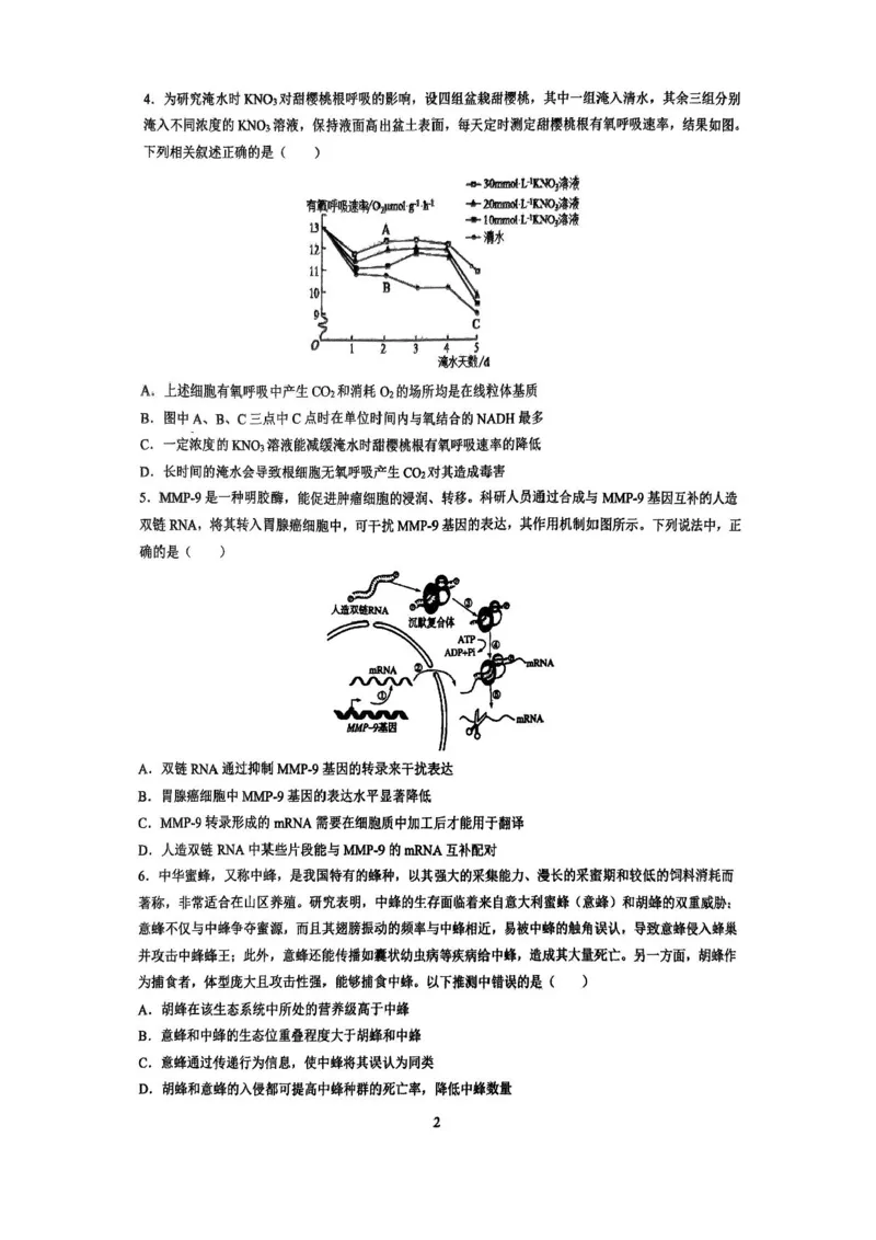 湖南省长沙市雅礼中学2024-2025学年高三上学期入学考试生物试题+答案(1)_8月_240807湖南省长沙市雅礼中学2025届高三上学期入学考试