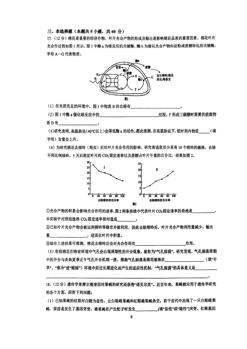 湖南省长沙市雅礼中学2024-2025学年高三上学期入学考试生物试题+答案(1)_8月_240807湖南省长沙市雅礼中学2025届高三上学期入学考试