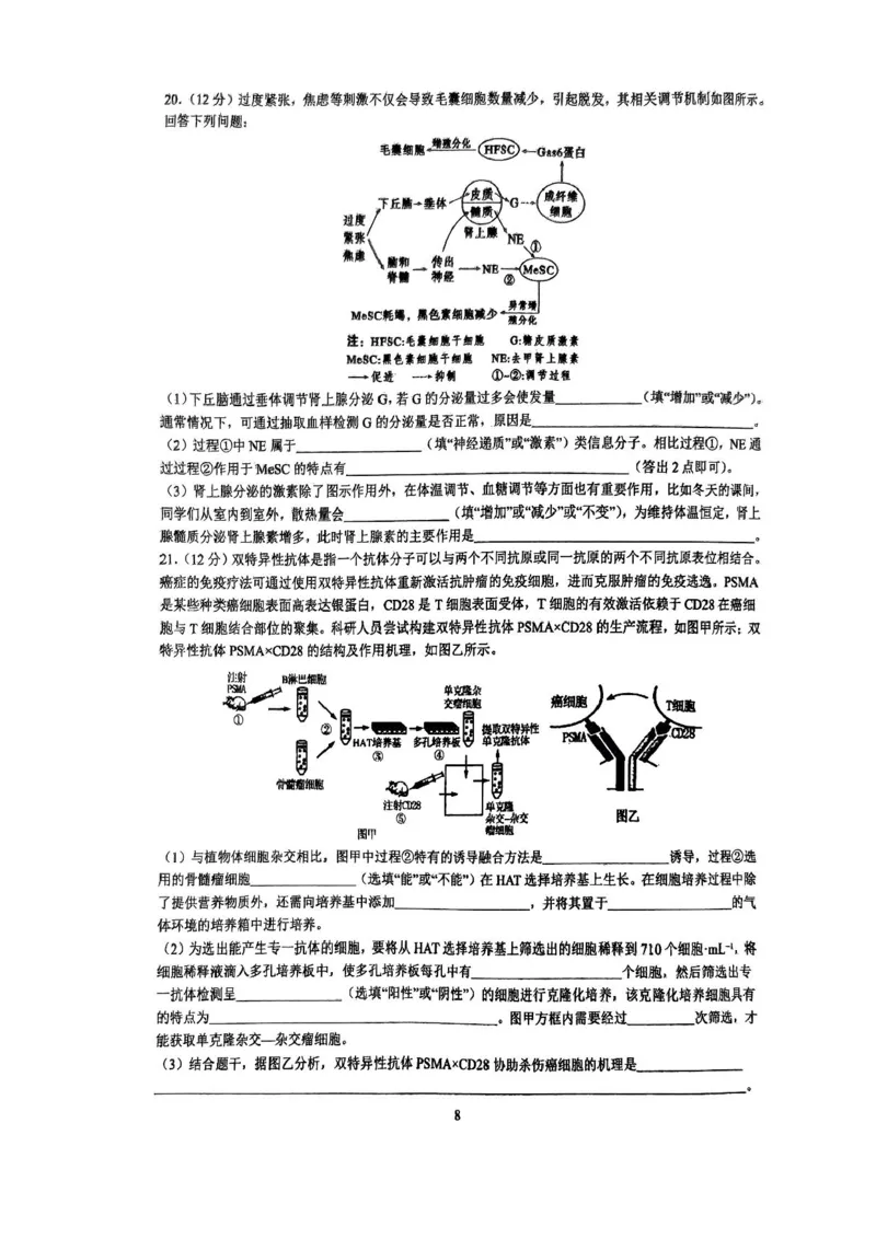 湖南省长沙市雅礼中学2024-2025学年高三上学期入学考试生物试题+答案(1)_8月_240807湖南省长沙市雅礼中学2025届高三上学期入学考试