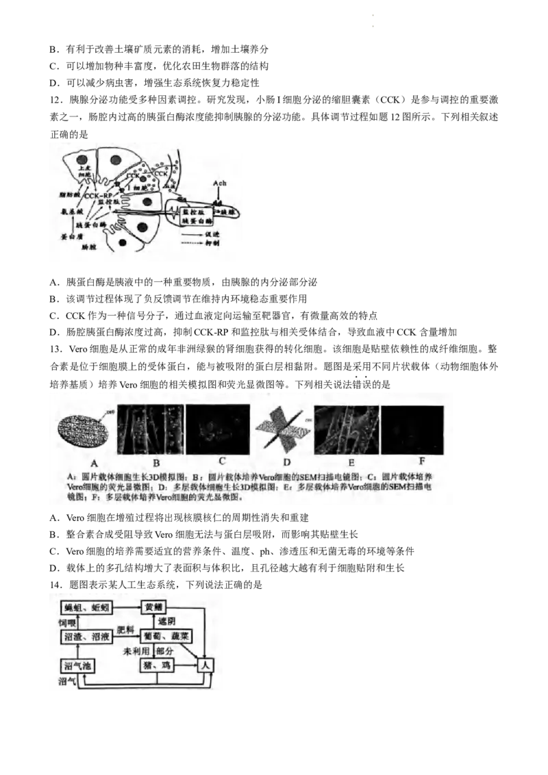 2024届重庆市九龙坡高三学业质量调研抽测(第二次)生物试题_2024年4月_01按日期_22号_2024届重庆主城高三学业质量调研抽测（第二次）