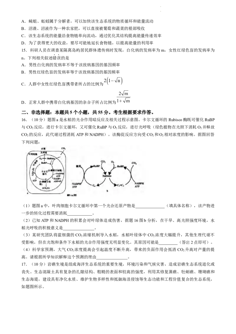 2024届重庆市九龙坡高三学业质量调研抽测(第二次)生物试题_2024年4月_01按日期_22号_2024届重庆主城高三学业质量调研抽测（第二次）