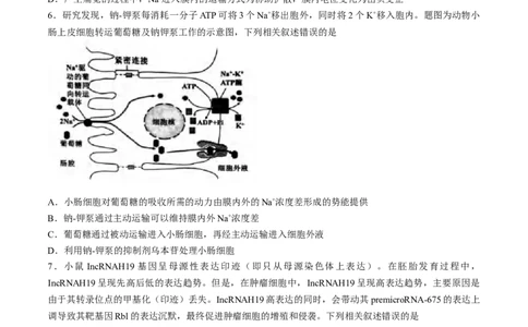 2024届重庆市九龙坡高三学业质量调研抽测(第二次)生物试题_2024年4月_01按日期_22号_2024届重庆主城高三学业质量调研抽测（第二次）