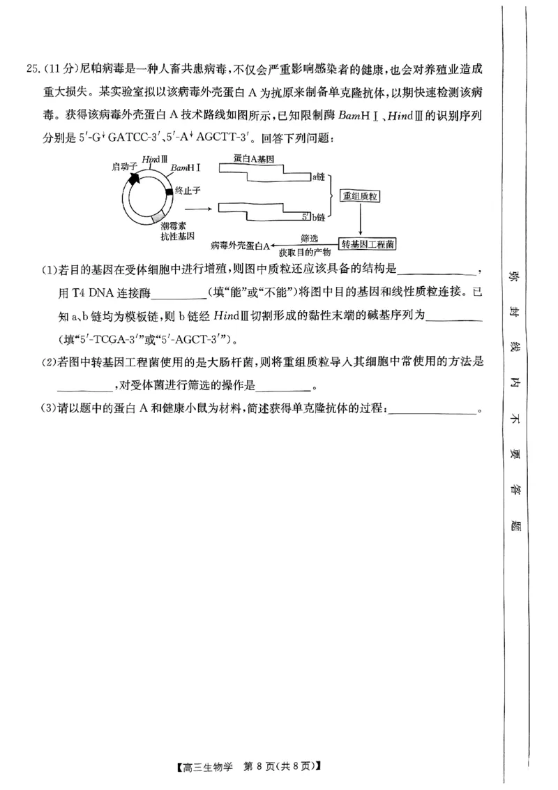 内蒙古自治区金太阳大联考2024-2025学年高三上学期开学生物试题(1)_8月_2408242025届内蒙古金太阳联考高三上学期8月月考
