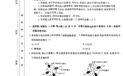内蒙古自治区金太阳大联考2024-2025学年高三上学期开学生物试题(1)_8月_2408242025届内蒙古金太阳联考高三上学期8月月考