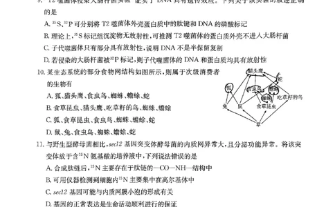 内蒙古自治区金太阳大联考2024-2025学年高三上学期开学生物试题(1)_8月_2408242025届内蒙古金太阳联考高三上学期8月月考
