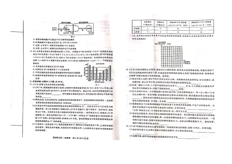 24届广东省普通高中学科综合素养评价2月南粤名校联考生物学_2024年2月_01每日更新_24号_2024届广东省南粤名校高三下学期2月联考_广东省南粤名校2023-2024学年高三下学期2月联考生物试题