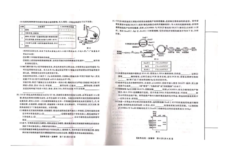 24届广东省普通高中学科综合素养评价2月南粤名校联考生物学_2024年2月_01每日更新_24号_2024届广东省南粤名校高三下学期2月联考_广东省南粤名校2023-2024学年高三下学期2月联考生物试题