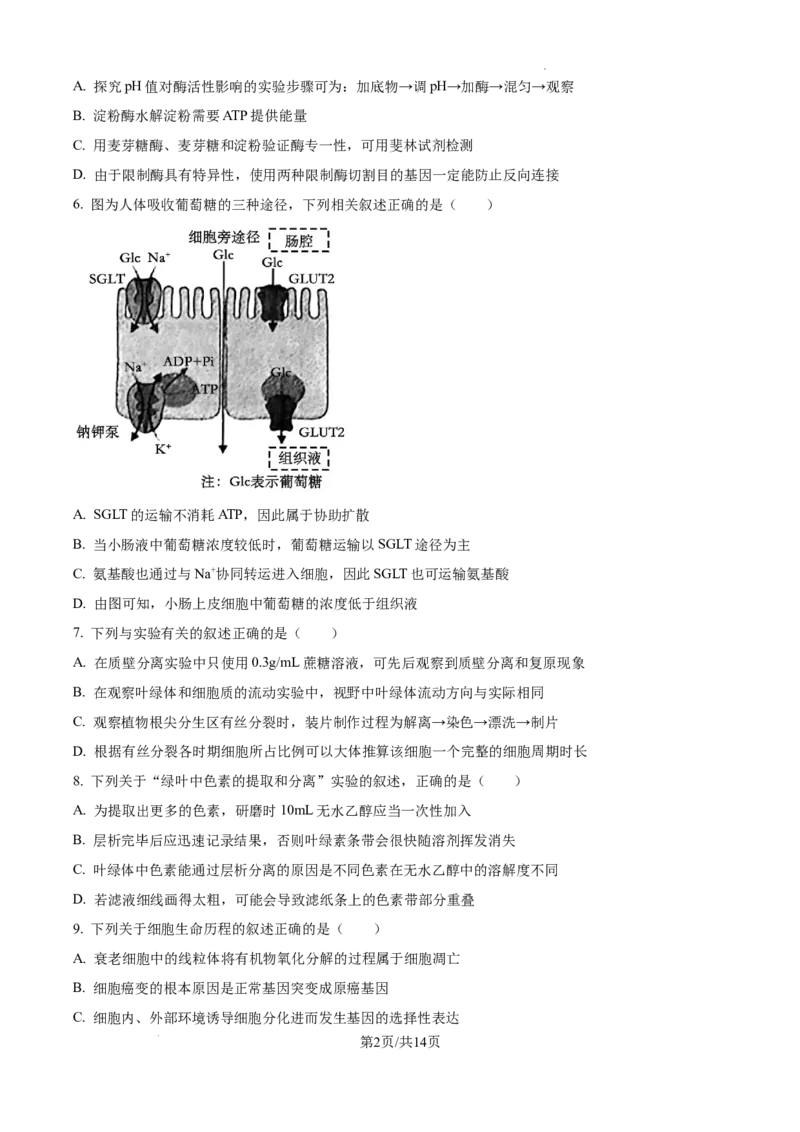 江苏省淮安市2025届高三上学期第一次调研测试生物+答案(1)_12月_241201江苏省淮安市2025届高三上学期第一次调研测试（全科）