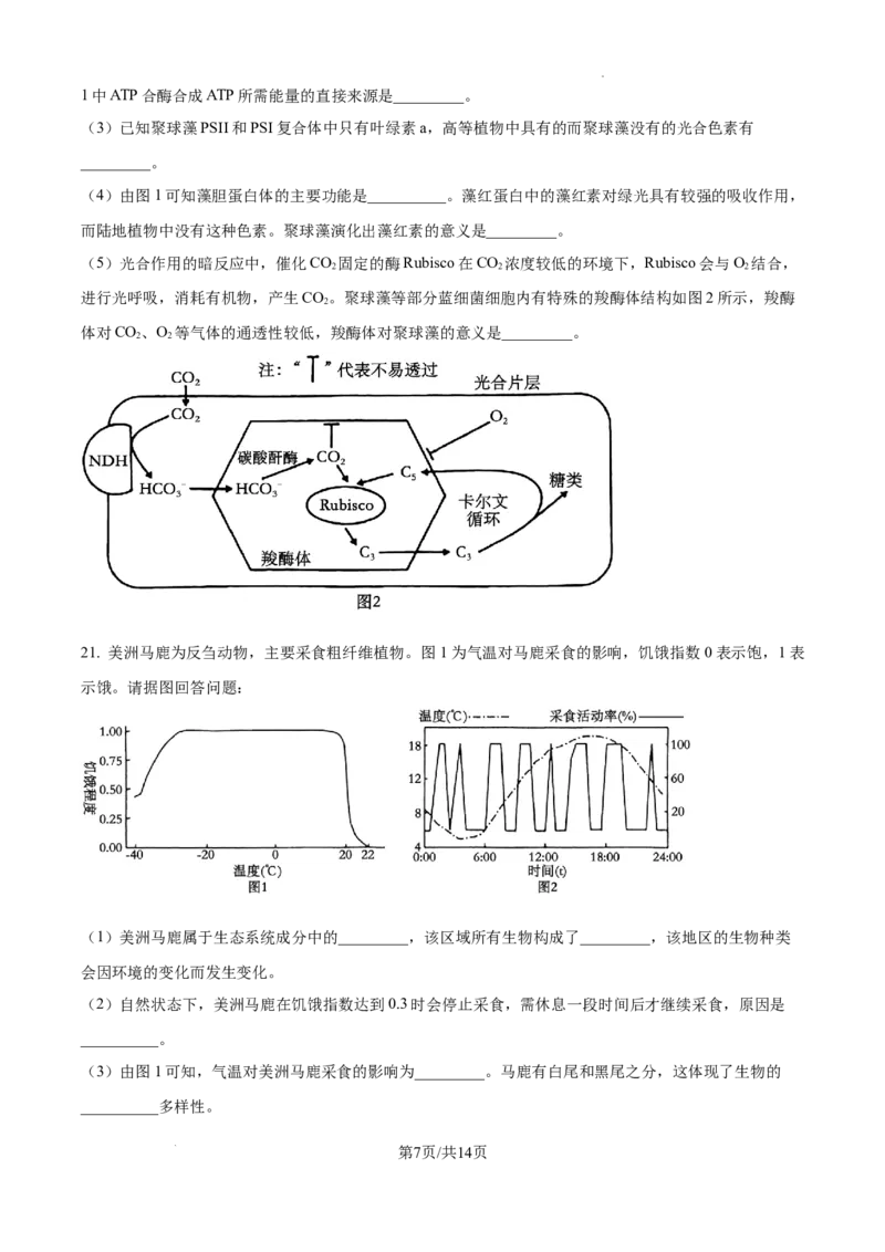 江苏省淮安市2025届高三上学期第一次调研测试生物+答案(1)_12月_241201江苏省淮安市2025届高三上学期第一次调研测试（全科）