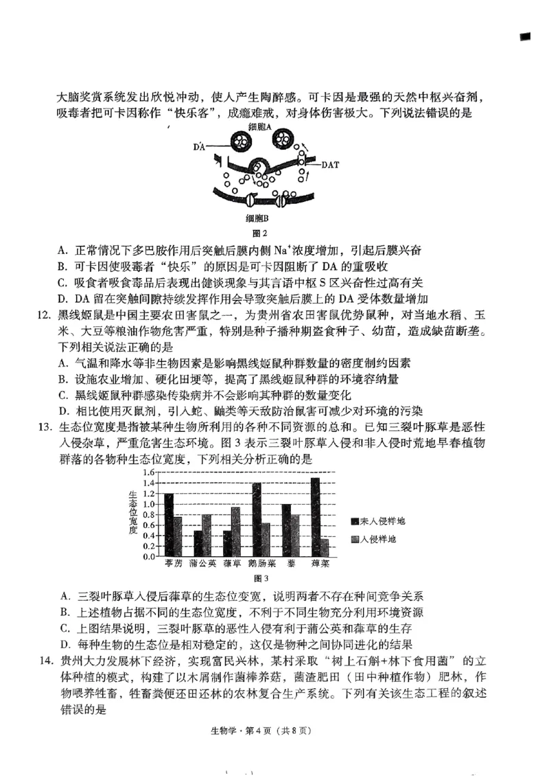 2024届贵州省黔东南苗族侗族自治州凯里一中黄金二卷三模生物试题_2024年5月_01按日期_13号_2024届贵州省凯里一中高三下学期三模（黄金二卷）