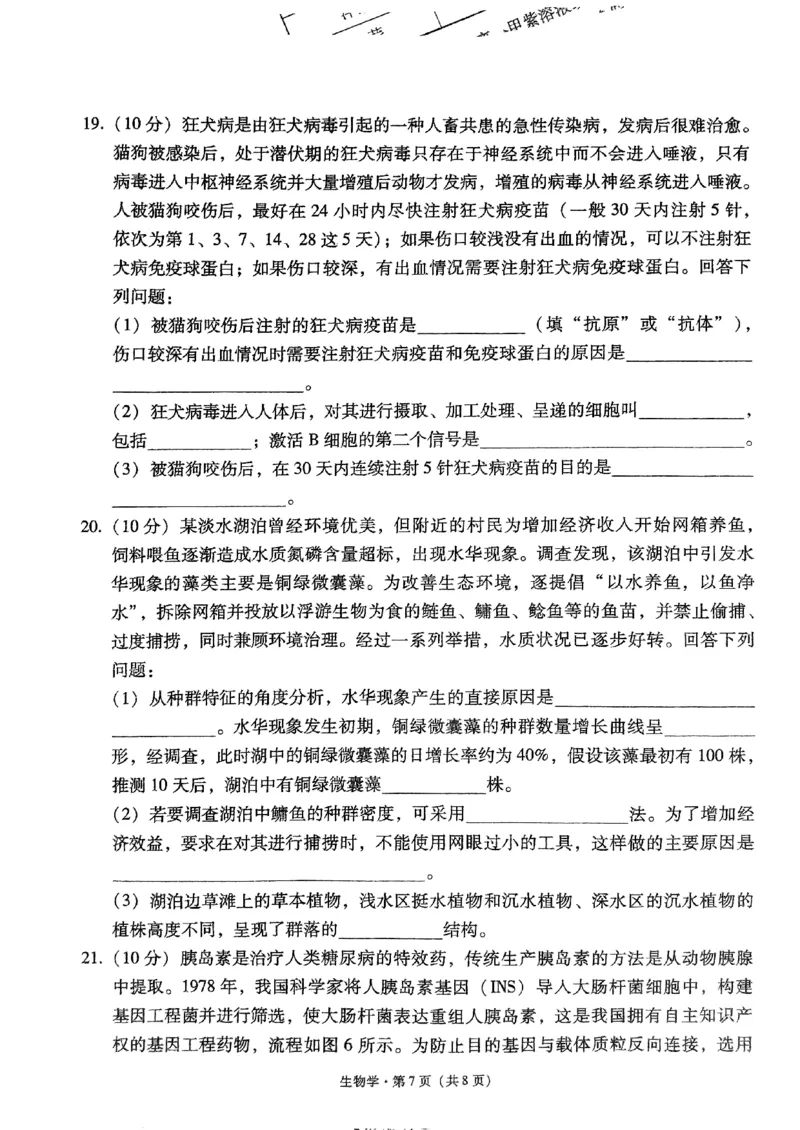 2024届贵州省黔东南苗族侗族自治州凯里一中黄金二卷三模生物试题_2024年5月_01按日期_13号_2024届贵州省凯里一中高三下学期三模（黄金二卷）