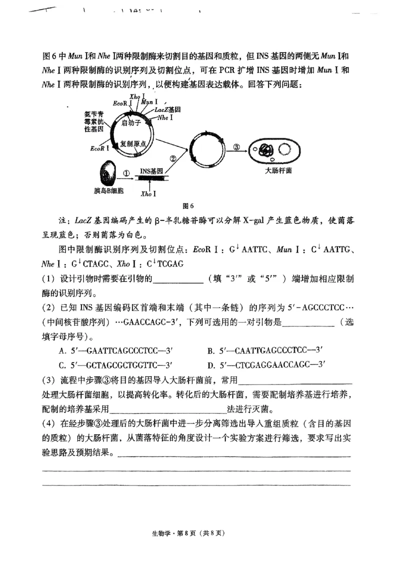 2024届贵州省黔东南苗族侗族自治州凯里一中黄金二卷三模生物试题_2024年5月_01按日期_13号_2024届贵州省凯里一中高三下学期三模（黄金二卷）