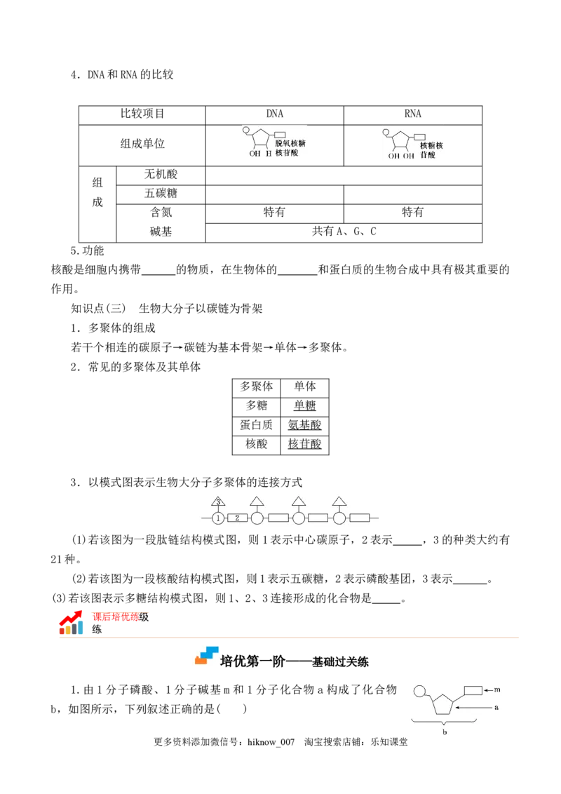 2.5核酸是遗传信息的携带者-2022-2023学年高一生物上学期课后培优分级练（2019人教版必修1）（原卷版）_E015高中全科试卷_生物试题_必修1_2.同步练习_1.同步练习（第一套）