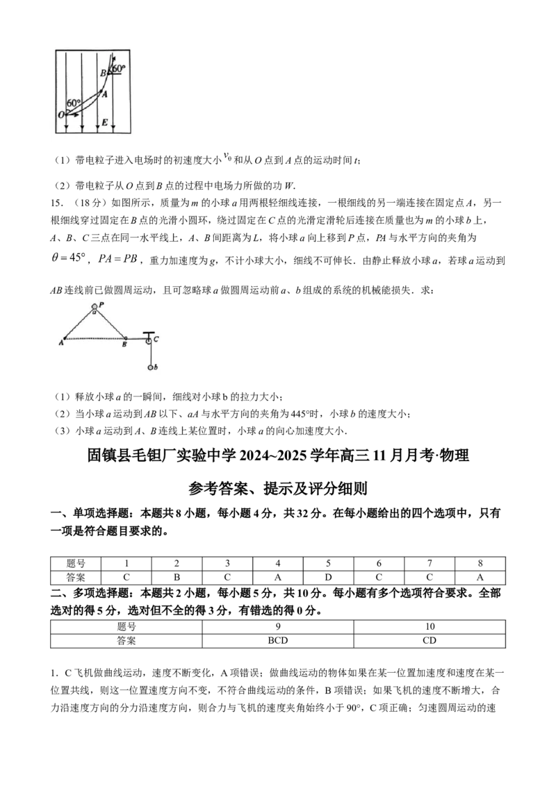 安徽毛坦厂实验中学2025届高三11月期中考试物理+答案_12月_241202安徽毛坦厂实验中学2025届高三11月期中考试