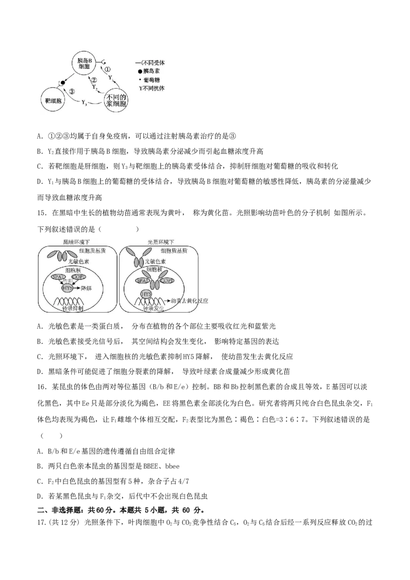 黄金卷01（考试版）-赢在高考&middot;黄金8卷备战2024年高考生物模拟卷（广西专用）_2024高考押题卷_92024赢在高考全系列_（通用版）2024《赢在高考&middot;黄金预测卷》（九科全）各八套