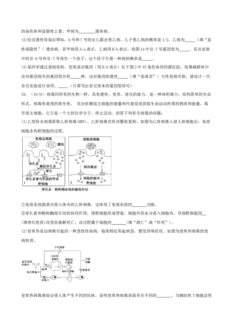 黄金卷01（考试版）-赢在高考&middot;黄金8卷备战2024年高考生物模拟卷（广西专用）_2024高考押题卷_92024赢在高考全系列_（通用版）2024《赢在高考&middot;黄金预测卷》（九科全）各八套