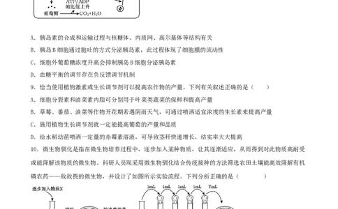 黄金卷01（考试版）-赢在高考&middot;黄金8卷备战2024年高考生物模拟卷（广西专用）_2024高考押题卷_92024赢在高考全系列_（通用版）2024《赢在高考&middot;黄金预测卷》（九科全）各八套