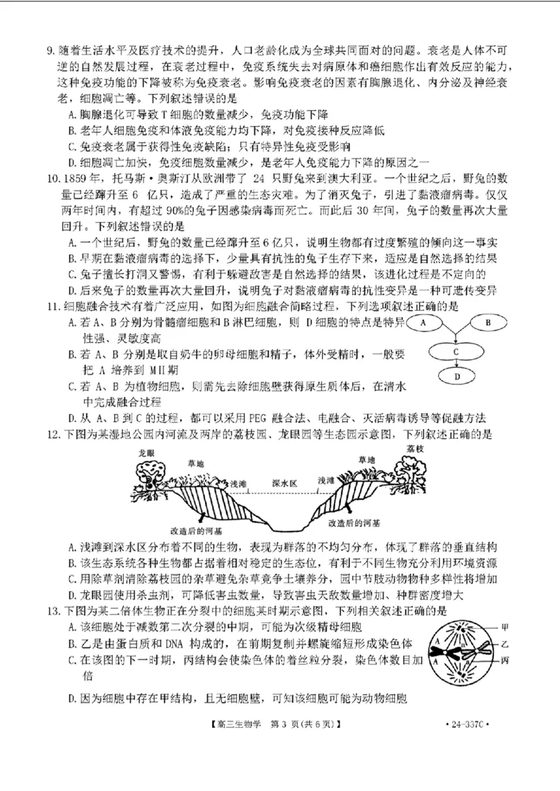 2024福建高三2月开年大联考（24-337C）生物含(1)_2024年2月_022月合集_2024届福建金太阳联考（24-337C）高三下学期开学考试
