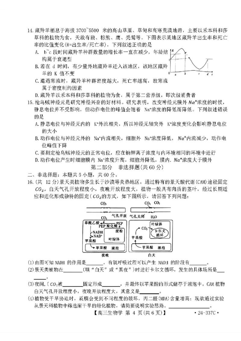 2024福建高三2月开年大联考（24-337C）生物含(1)_2024年2月_022月合集_2024届福建金太阳联考（24-337C）高三下学期开学考试