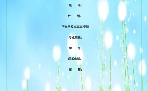 职业生涯规划书模版Word文档_E6-职业规划_86道路桥梁专业