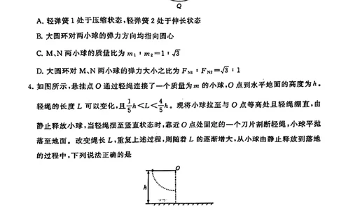 2024届湖北省T8联盟高三下学期压轴考试（二）物理试题(1)_2024年5月_025月合集_2024届湖北省T8联盟高三下学期压轴考试（一模）