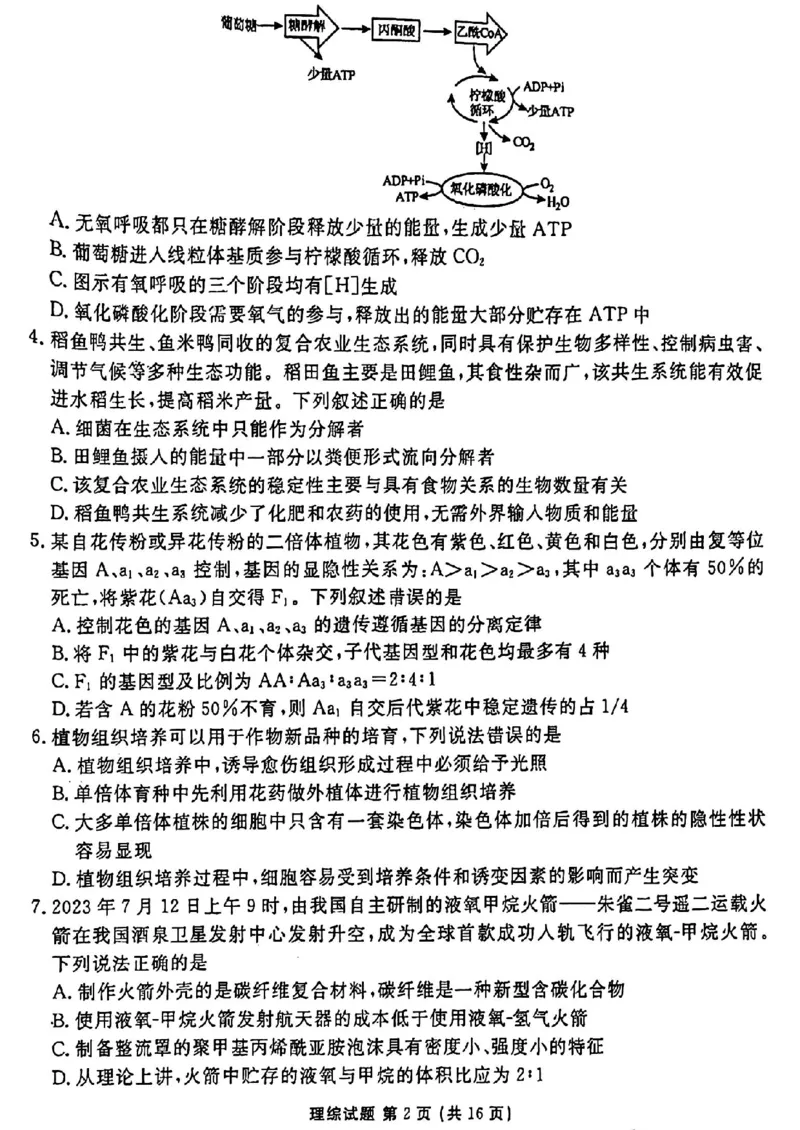 2024届衡水金卷高三4月大联考（老高考）理综试题(1)_2024年4月_024月合集_2024届衡水金卷高三4月大联考（老高考）