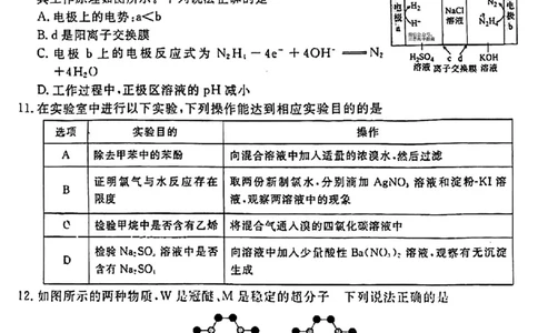 2024届衡水金卷高三4月大联考（老高考）理综试题(1)_2024年4月_024月合集_2024届衡水金卷高三4月大联考（老高考）