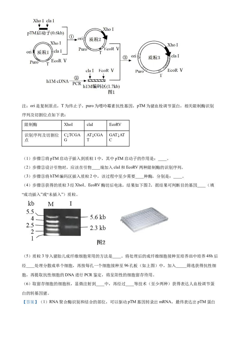 福建省三明市第一中学2023-2024学年高二下学期第二次月考生物答案_6月_2406302024福建省三明市第一中学高二下学期第二次月考