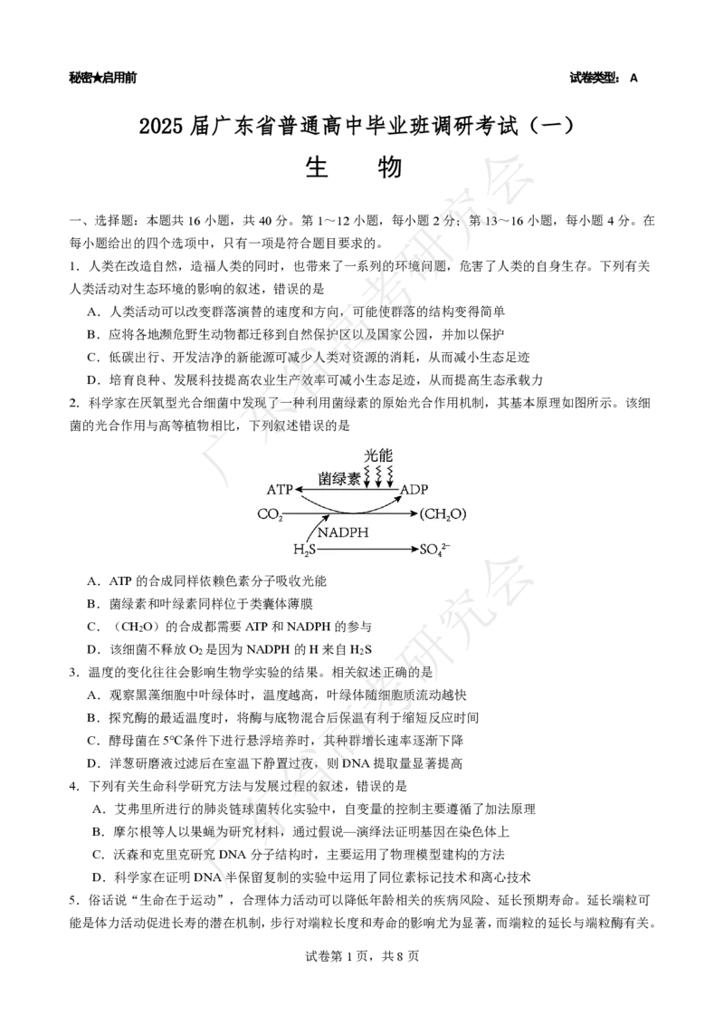 广东省2025届高三生物一调模拟卷（试题）_8月_2408082025届广东省普通高中毕业班第一次调研考试_广东省高考研究会：广东省2025届高三生物一调模拟卷