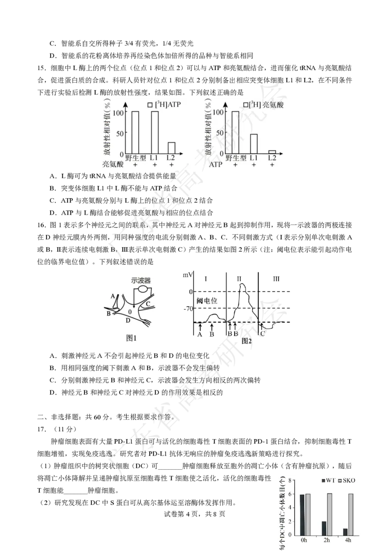 广东省2025届高三生物一调模拟卷（试题）_8月_2408082025届广东省普通高中毕业班第一次调研考试_广东省高考研究会：广东省2025届高三生物一调模拟卷
