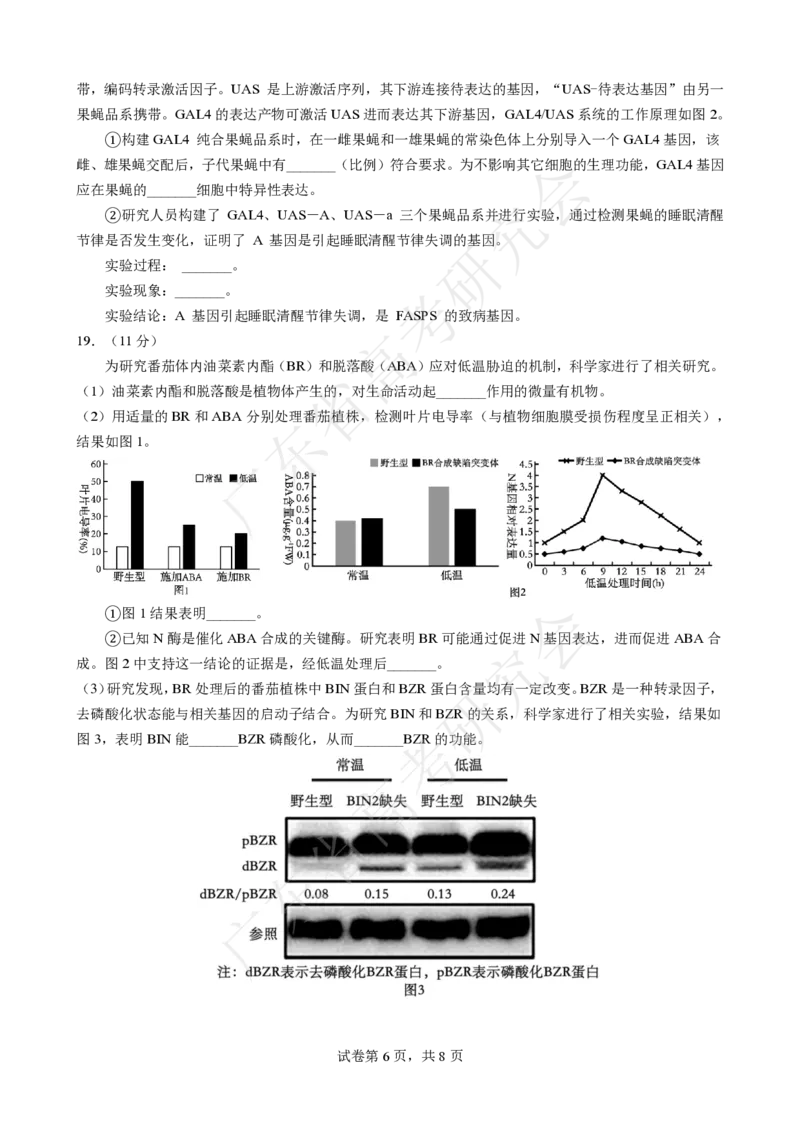 广东省2025届高三生物一调模拟卷（试题）_8月_2408082025届广东省普通高中毕业班第一次调研考试_广东省高考研究会：广东省2025届高三生物一调模拟卷
