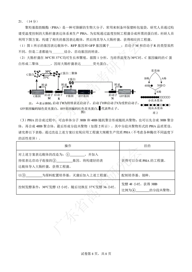 广东省2025届高三生物一调模拟卷（试题）_8月_2408082025届广东省普通高中毕业班第一次调研考试_广东省高考研究会：广东省2025届高三生物一调模拟卷