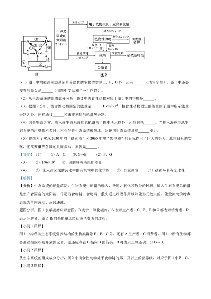 安徽省亳州市2023-2024学年高二下学期7月期末考试生物Word版含解析(1)_8月_240808安徽省亳州市2023-2024学年高二下学期7月期末考试