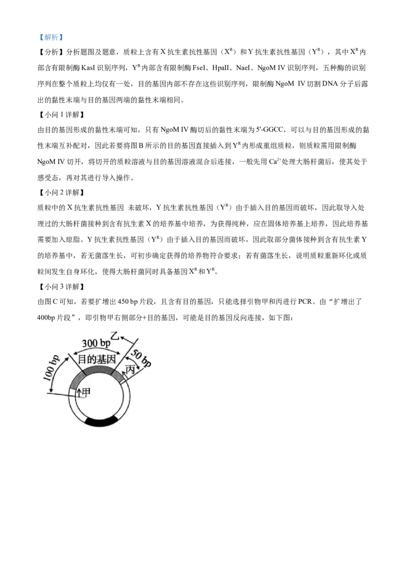 安徽省亳州市2023-2024学年高二下学期7月期末考试生物Word版含解析(1)_8月_240808安徽省亳州市2023-2024学年高二下学期7月期末考试