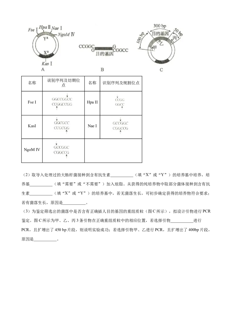 安徽省亳州市2023-2024学年高二下学期7月期末考试生物Word版含解析(1)_8月_240808安徽省亳州市2023-2024学年高二下学期7月期末考试
