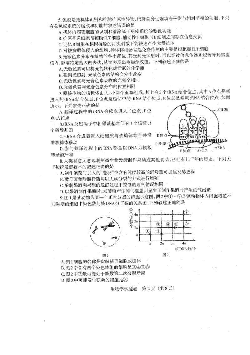 2024届辽宁省部分学校高三下学期扣题卷（二）生物试题_2024年5月_01按日期_10号_2024届辽宁省高考扣题（二）_2024届辽宁省部分学校高三下学期扣题卷（二）生物试题
