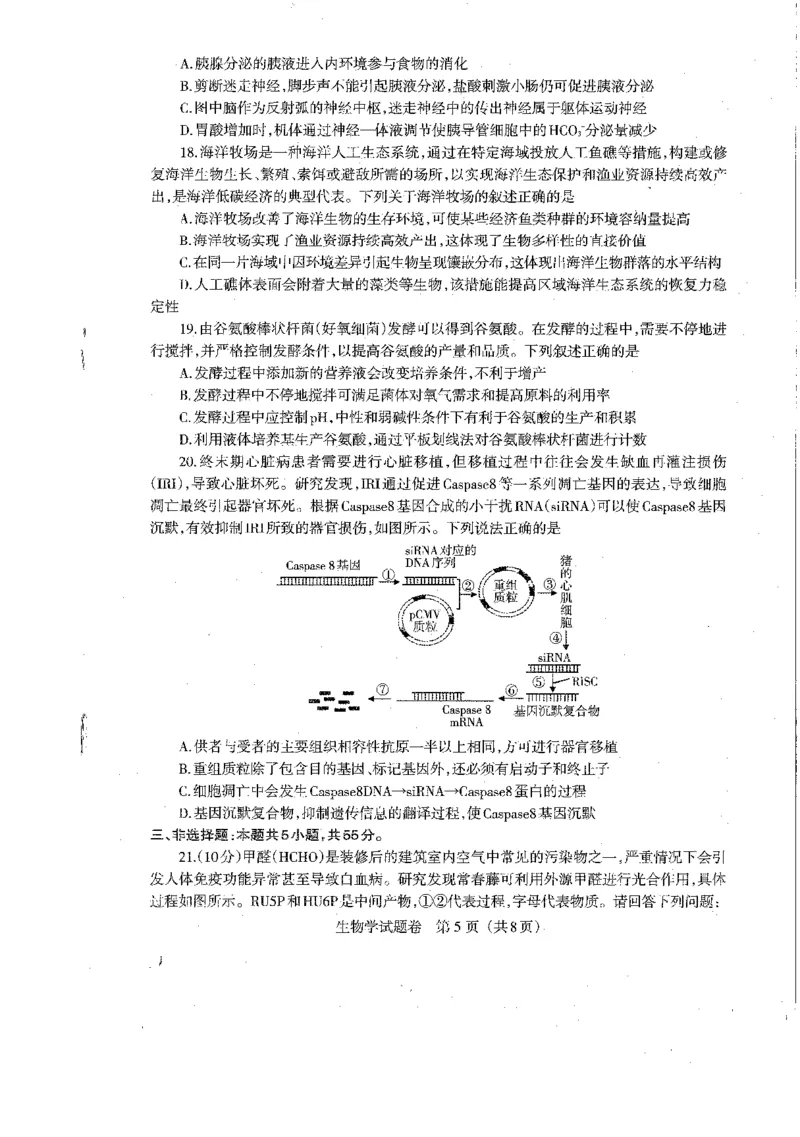 2024届辽宁省部分学校高三下学期扣题卷（二）生物试题_2024年5月_01按日期_10号_2024届辽宁省高考扣题（二）_2024届辽宁省部分学校高三下学期扣题卷（二）生物试题