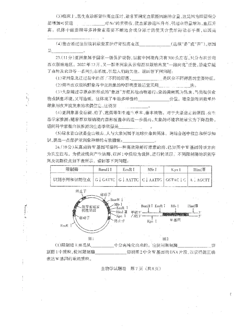 2024届辽宁省部分学校高三下学期扣题卷（二）生物试题_2024年5月_01按日期_10号_2024届辽宁省高考扣题（二）_2024届辽宁省部分学校高三下学期扣题卷（二）生物试题