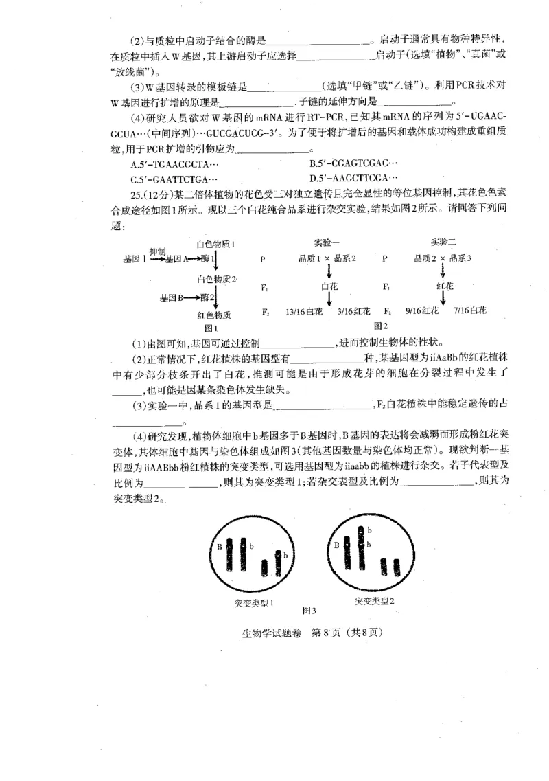 2024届辽宁省部分学校高三下学期扣题卷（二）生物试题_2024年5月_01按日期_10号_2024届辽宁省高考扣题（二）_2024届辽宁省部分学校高三下学期扣题卷（二）生物试题