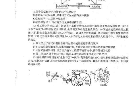 2024届辽宁省部分学校高三下学期扣题卷（二）生物试题_2024年5月_01按日期_10号_2024届辽宁省高考扣题（二）_2024届辽宁省部分学校高三下学期扣题卷（二）生物试题