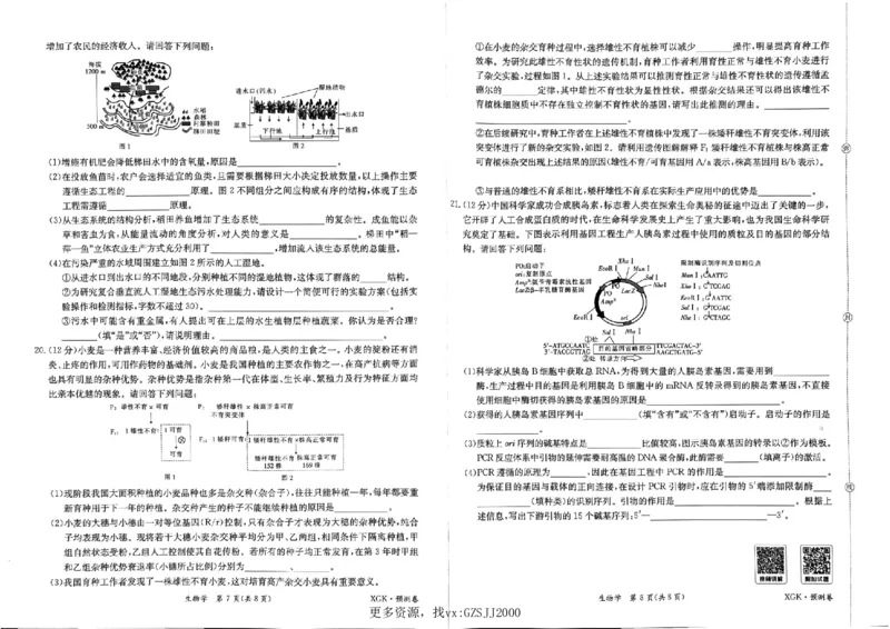 预测卷_生物_2024高考押题卷_52024金太阳全系列_（新高考版）jty临考预测押题密卷_金太阳卷霸临考预测卷