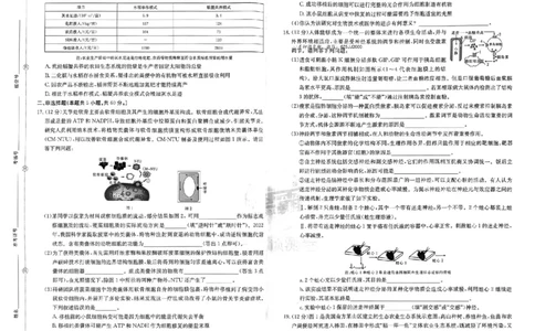 预测卷_生物_2024高考押题卷_52024金太阳全系列_（新高考版）jty临考预测押题密卷_金太阳卷霸临考预测卷